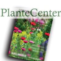 Plantecenter syd tilbudsavis