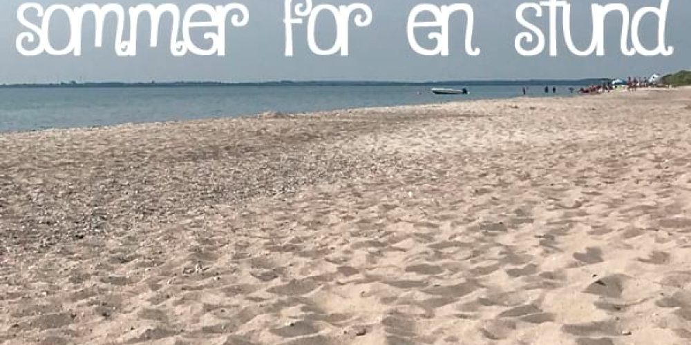 Fornemmelsen af sommer for en stund…