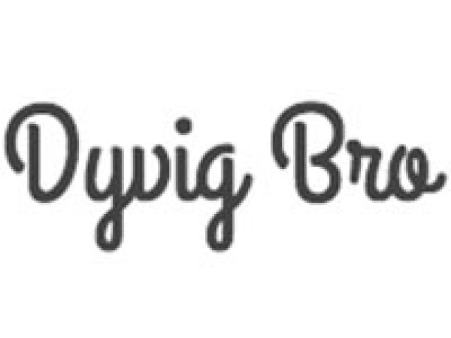 Dyvig bro lystbådehavn