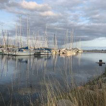 Høruphav – lystbådehavnen, skoven og naturen omkring, gendarmstien, historien – alt i korte træk via tekst, film og billeder.