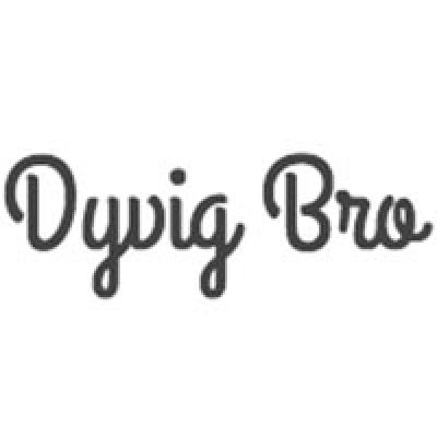 Dyvig bro lystbådehavn