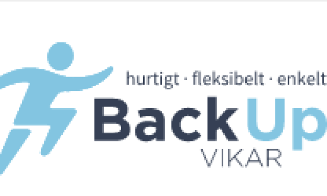 Back Up Vikar