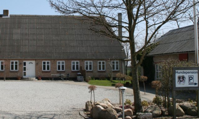 Meldgaard-Hundepension