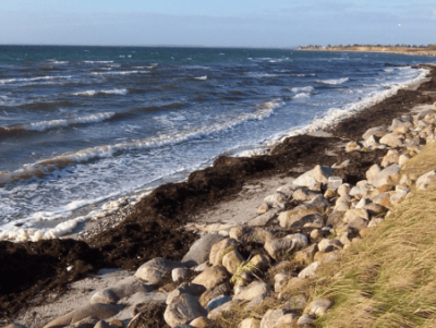 Østerby Strand